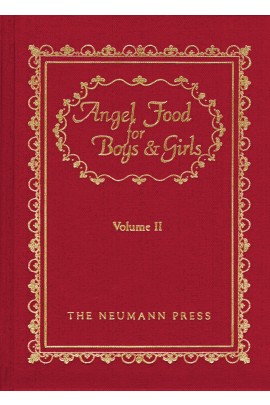 Angel Food for Boys and Girls Volume 2 /Rev Fr Gerald T Brennan